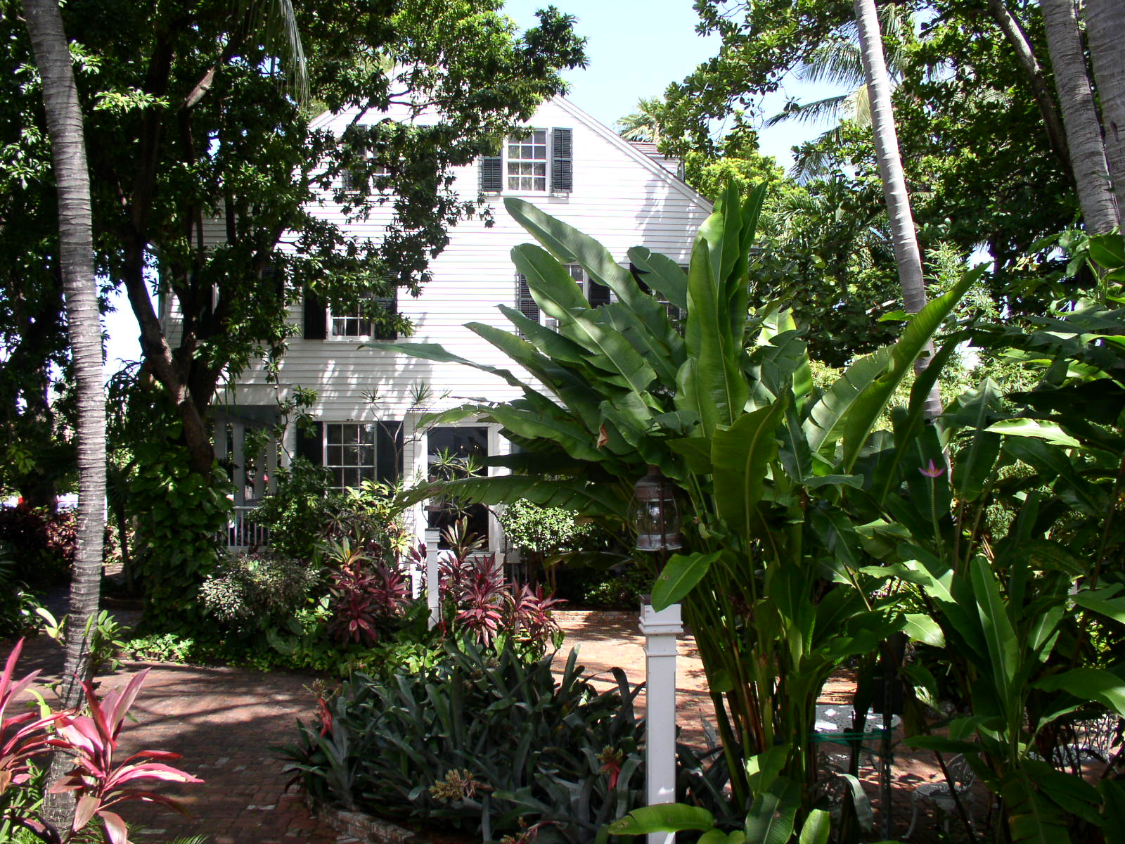 photo1